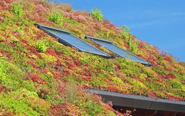 Codnor Breach living roof systems